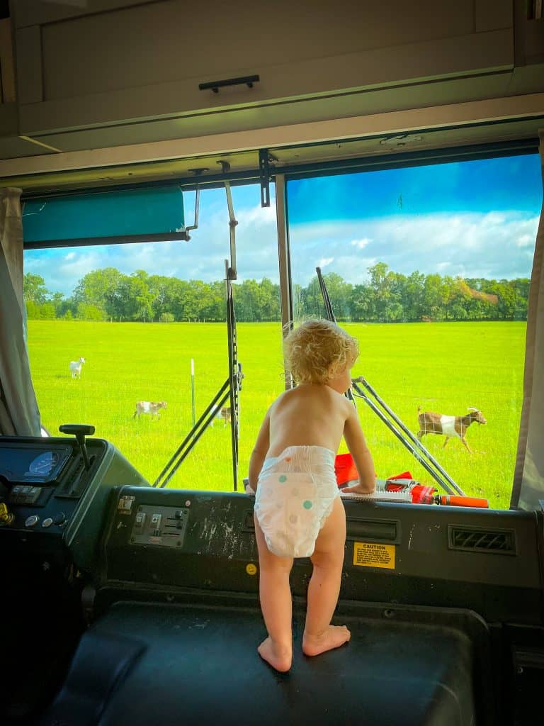 Madeleine looking at goats at Gan Eden Farms